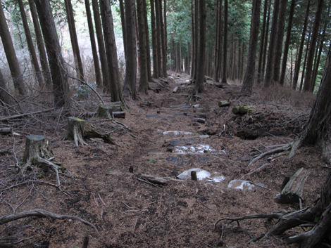 20160121hike (351)